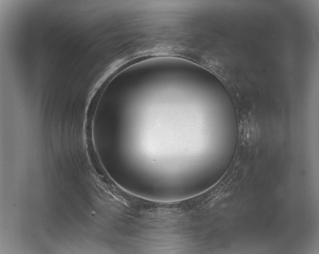 X0000067360292200603311225