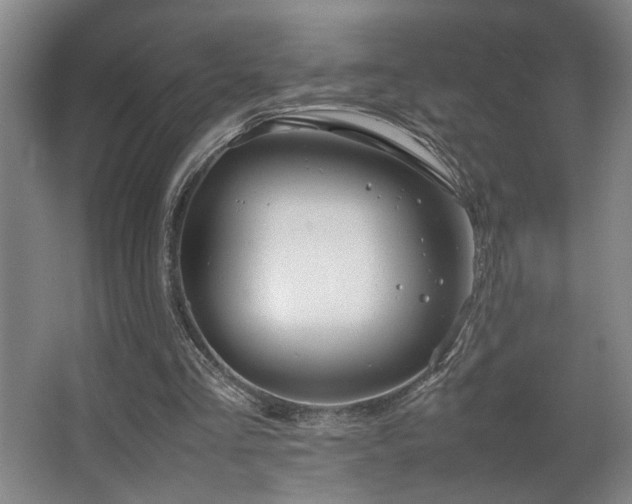 X0000067360293200603311225