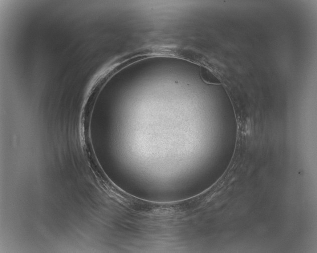 X0000067360294200603311225