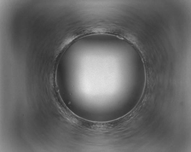 X0000067360297200603311225