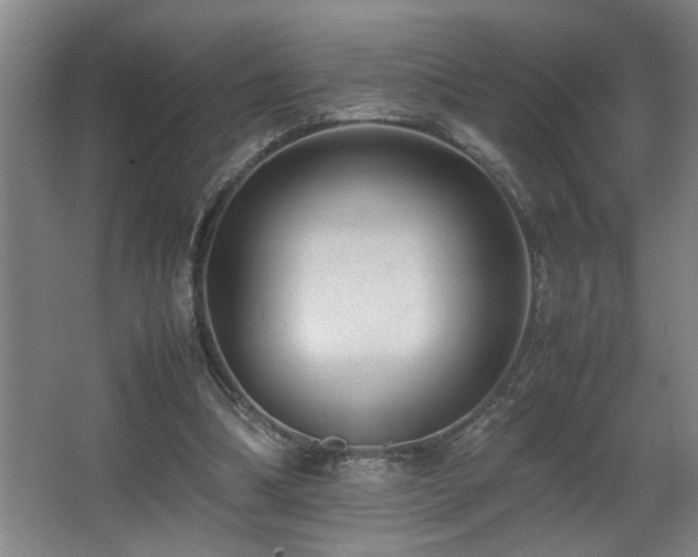 X0000067360298200603311225