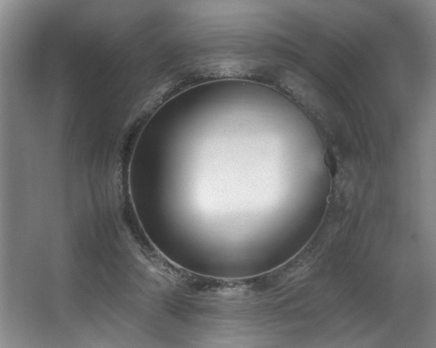 X0000067360306200603311225