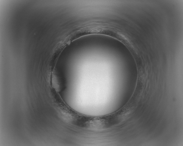 X0000067360307200603311225