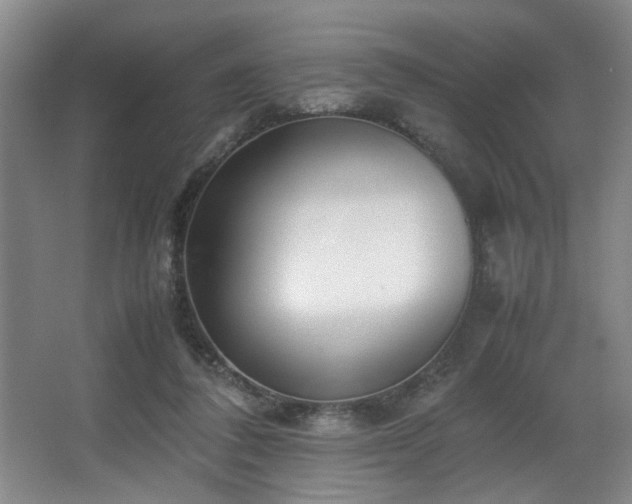X0000067360308200603311225