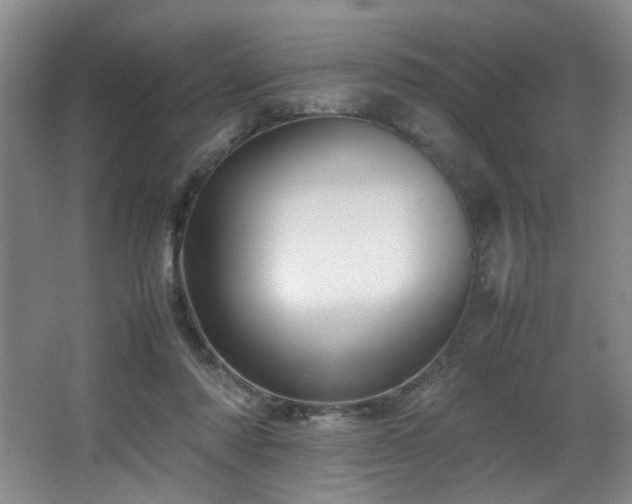 X0000067360310200603311225