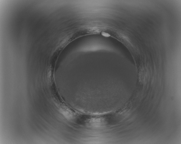 X0000067360314200603311225