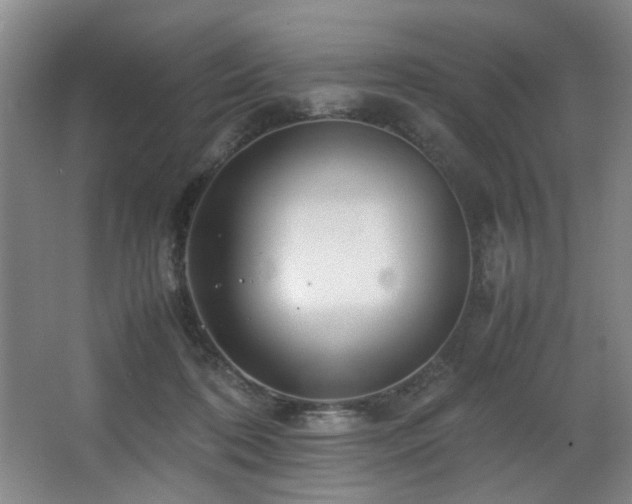 X0000067360316200603311225