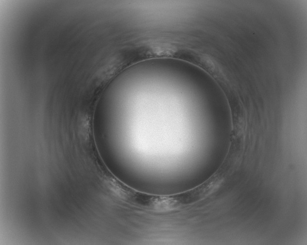 X0000067360321200603311225