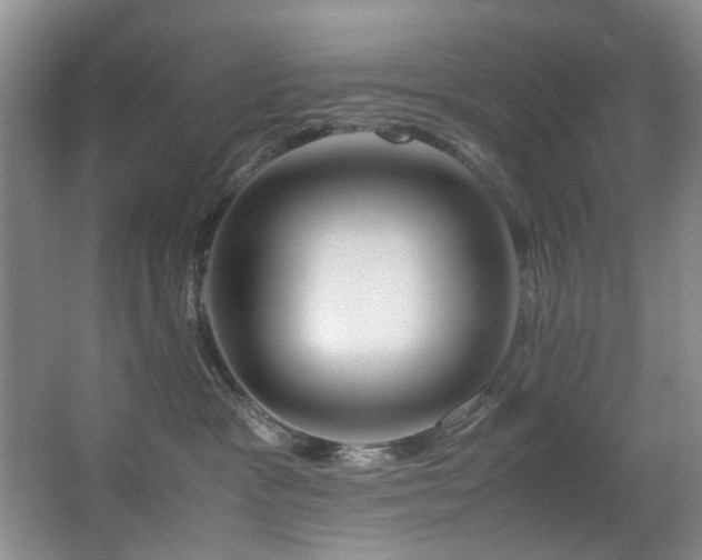 X0000067360333200603311225