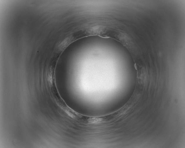 X0000067360334200603311225