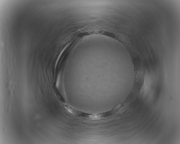 X0000067360335200603311225
