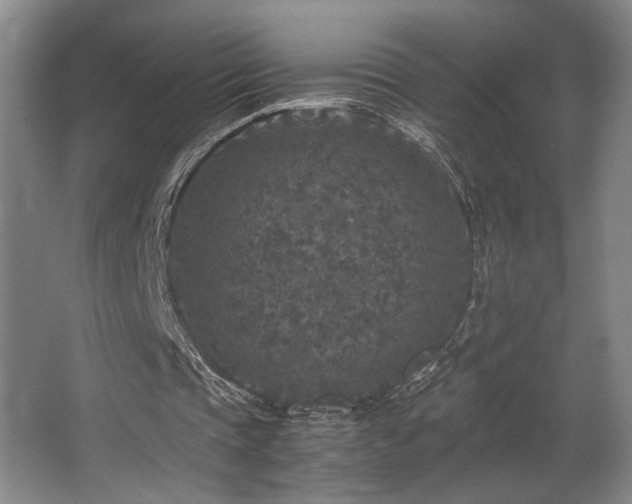 X0000067360337200603311224