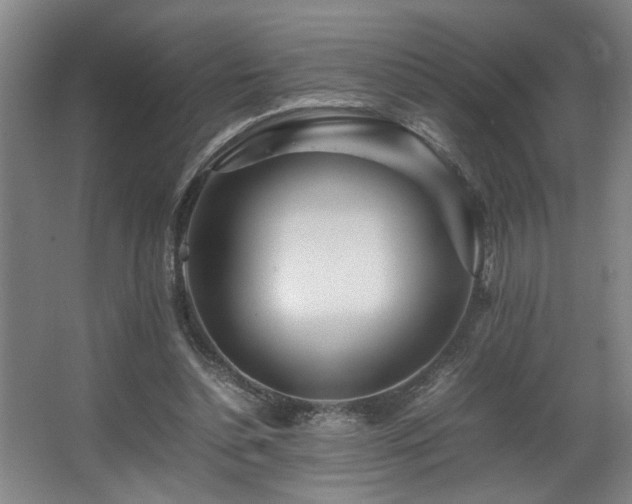 X0000067360348200603311224