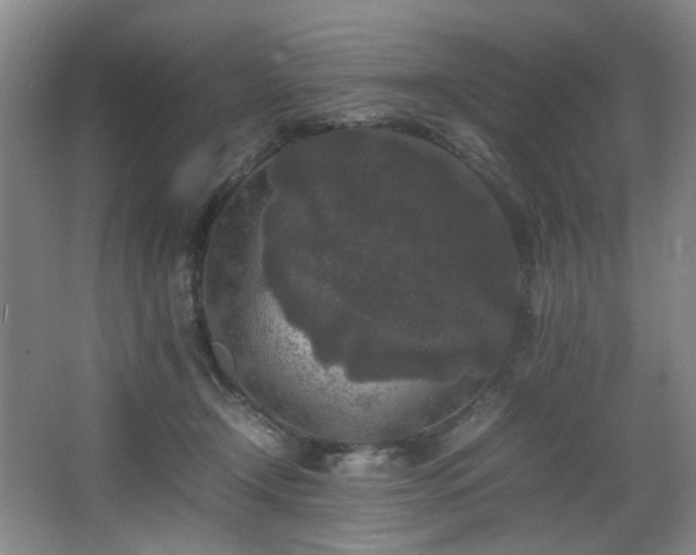 X0000067360366200603311224