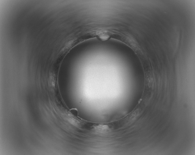 X0000067360374200603311224