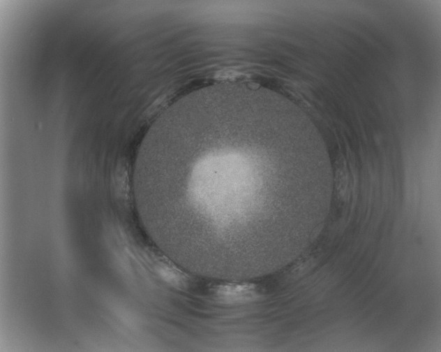 X0000067360375200603311224