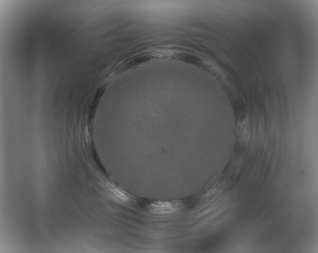 X0000067360381200603311225