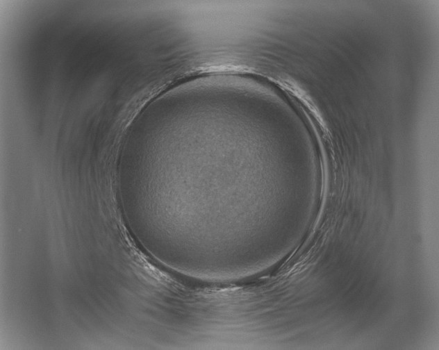 X0000067360385200603311224