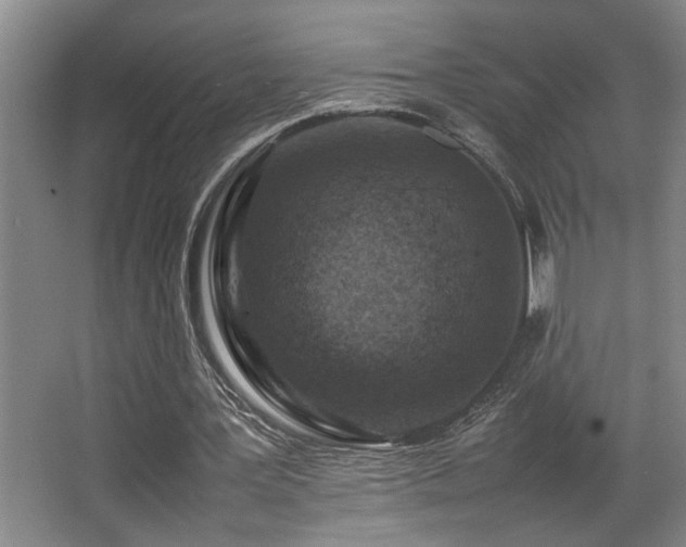 X0000067360387200603311224