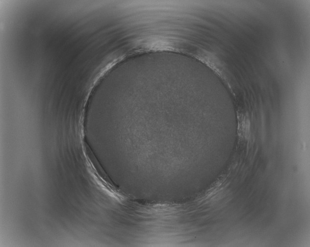 X0000067360390200603311224