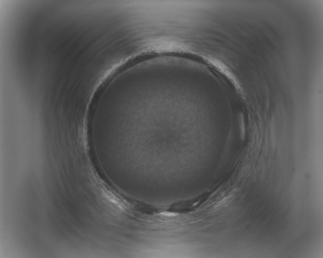 X0000067360391200603311224