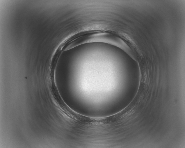 X0000067360392200603311224