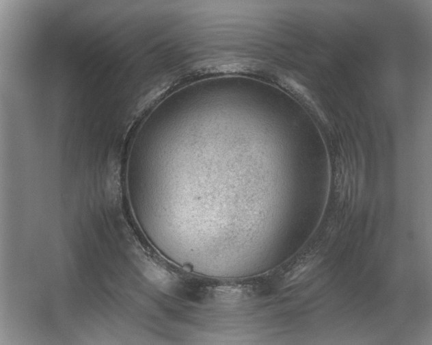 X0000067360394200603311224