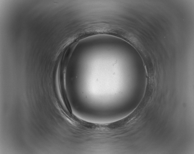 X0000067360397200603311224