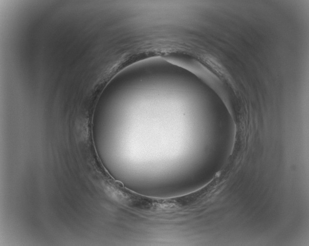 X0000067360401200603311224