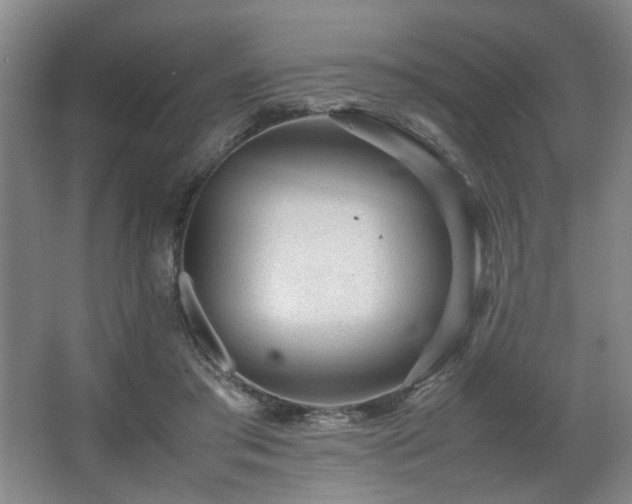 X0000067360405200603311223