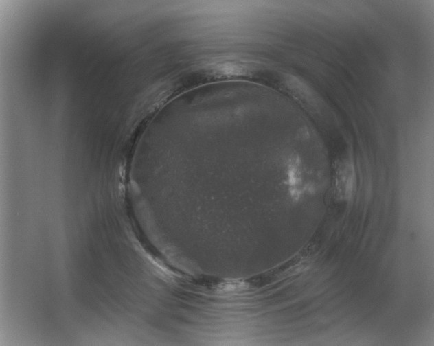 X0000067360410200603311223