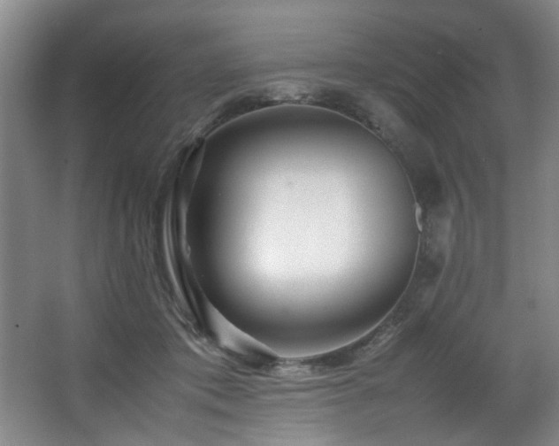 X0000067360413200603311223