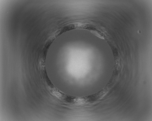 X0000067360419200603311223