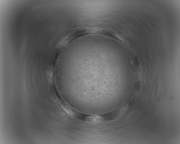X0000067360427200603311223