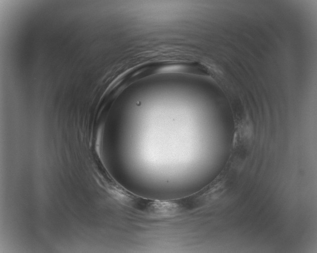 X0000067360429200603311223