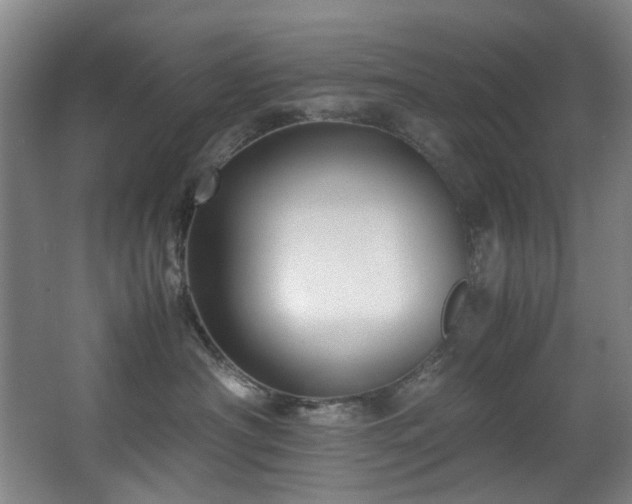 X0000067360430200603311223
