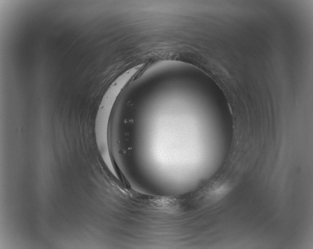 X0000067360432200603311223