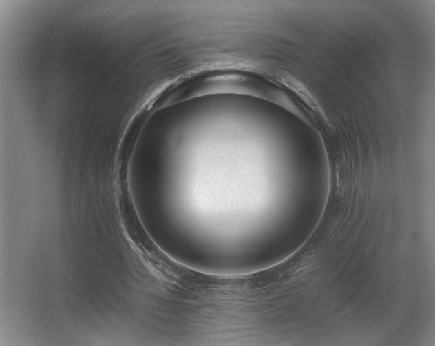 X0000067360436200603311222