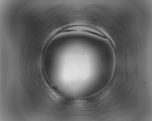 X0000067360437200603311222
