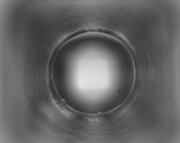 X0000067360439200603311222