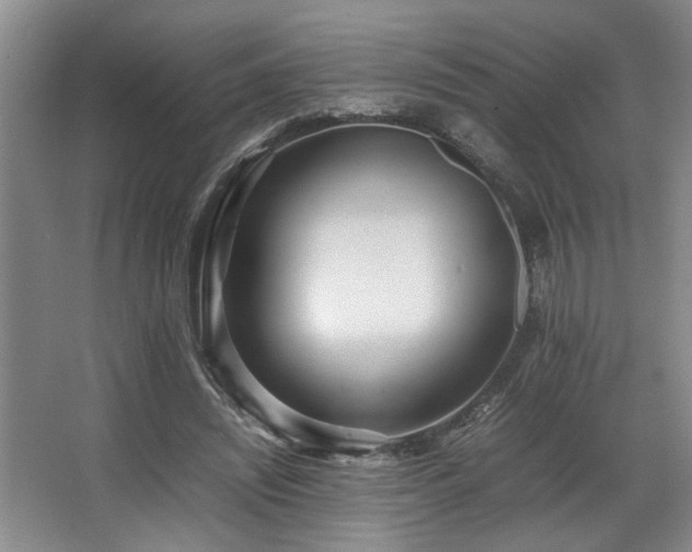 X0000067360444200603311222