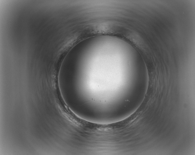 X0000067360450200603311222
