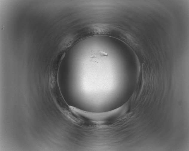 X0000067360456200603311223