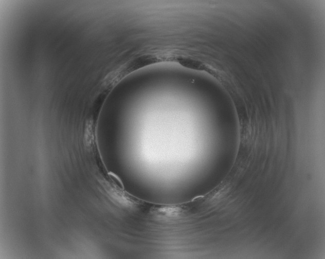 X0000067360478200603311223