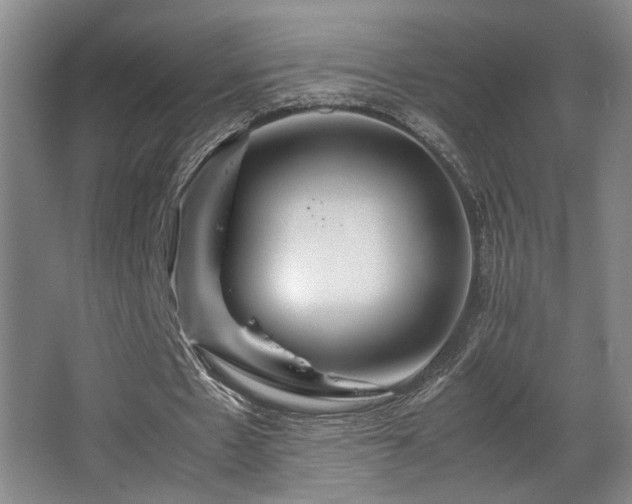 X0000067360481200603311222