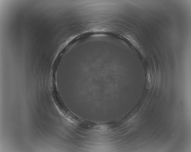 X0000067360492200603311222