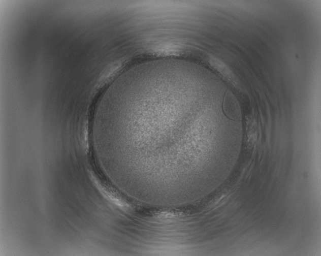 X0000067360494200603311222