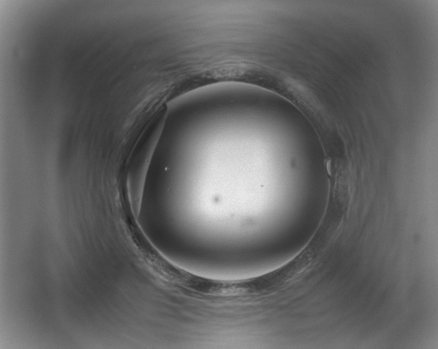X0000067360501200603311222