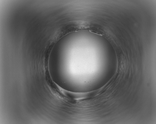 X0000067360512200603311222