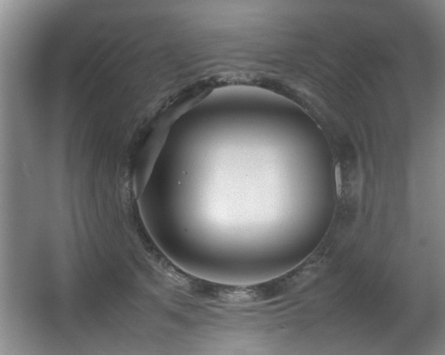 X0000067360513200603311222